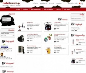 Tworzenie serwisów internetowych - zobacz serwis