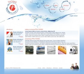 strona www dla pralni przemysłowej Thorax : zobacz projekt